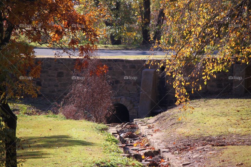 Fall foliage and Bridge