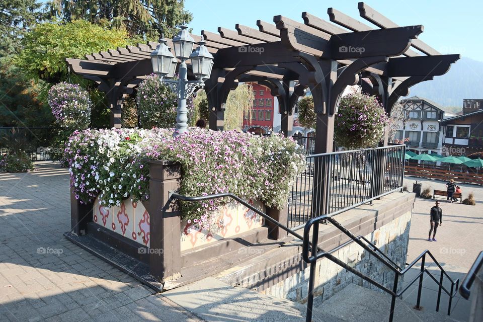 Flowers taking over the pagoda