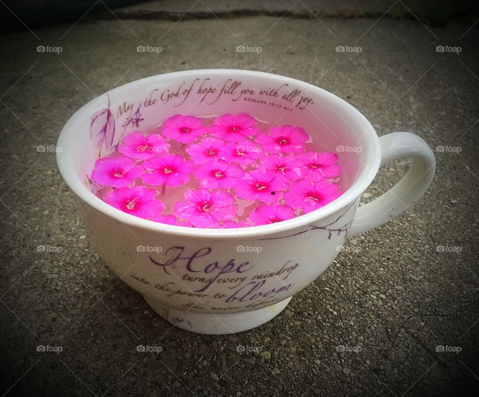 Cup o flowers