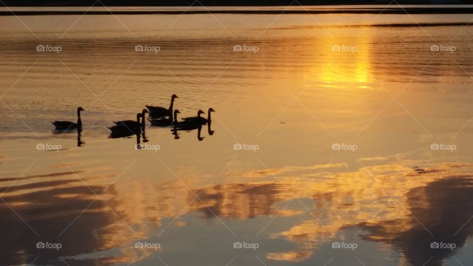 Water, Reflection, Sunset, Dawn, Evening