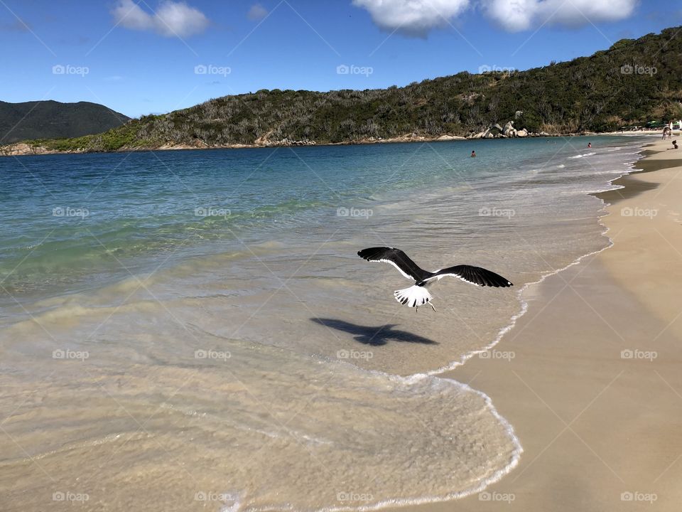 Voo na Praia do Forno. Arraial do Cabo. 