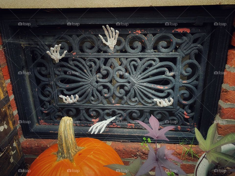 Spooky Halloween decorations, skeleton hands coming out of an old house grate 