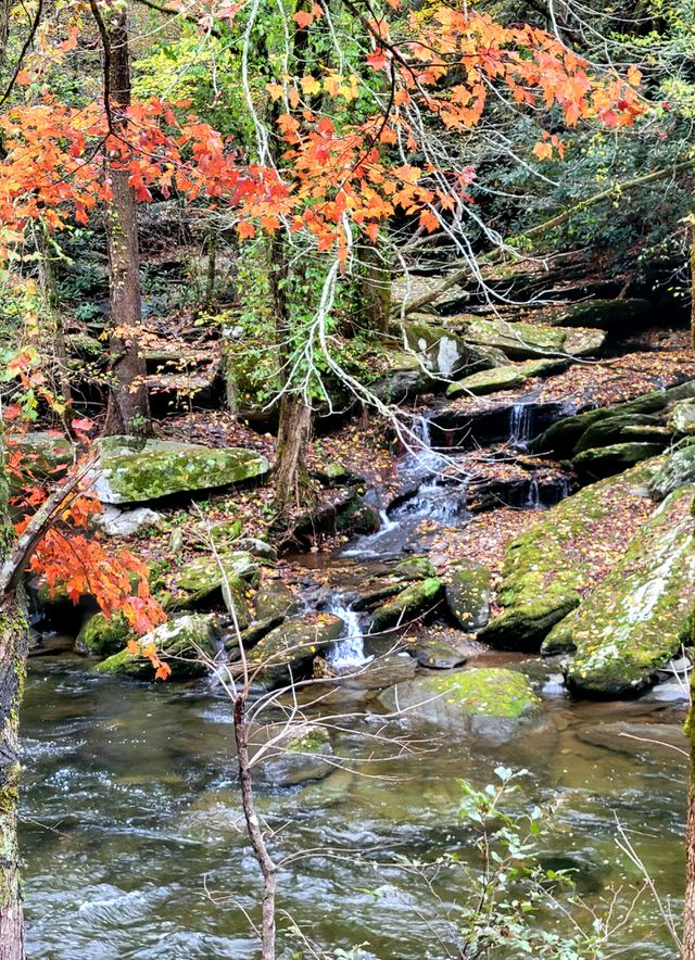cascading over rocks