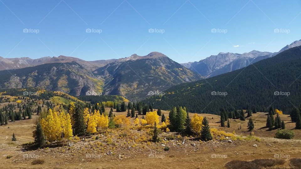 Mountain, Landscape, No Person, Fall, Wood