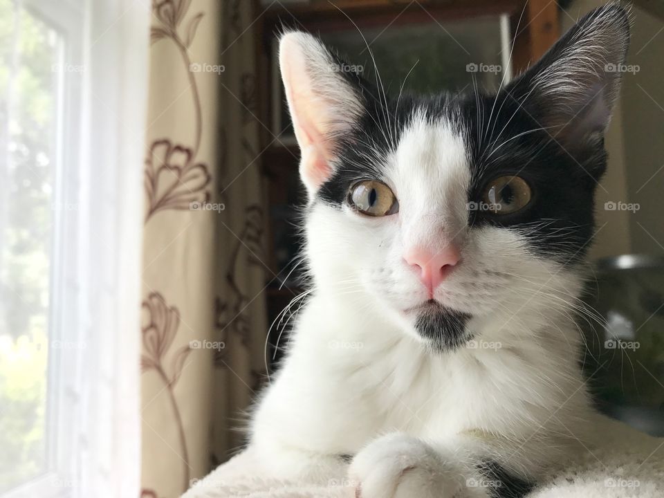 The look of concentration 