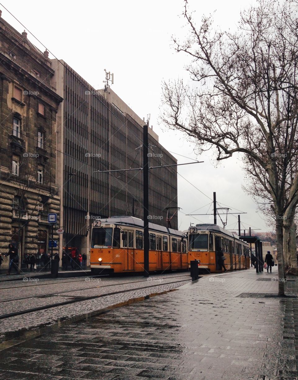 yellow trams