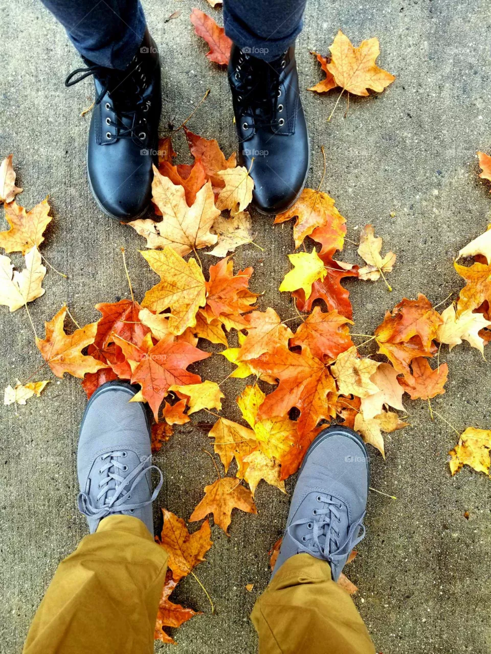 Fall