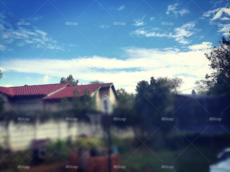 My favorite thing to stare at