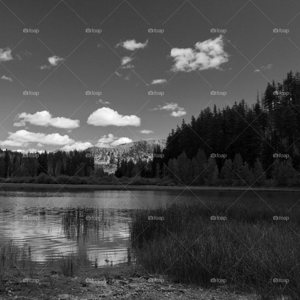 Clouds reflecting in Lost Lake on a sunny summer day 