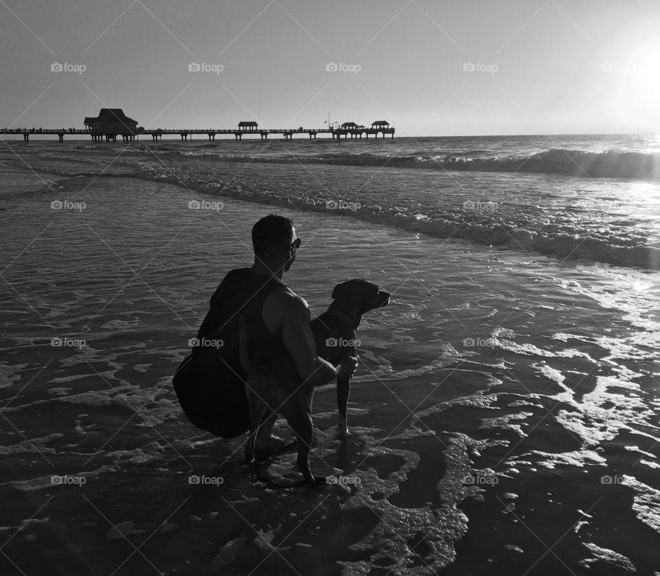 Dog beach sunset 
