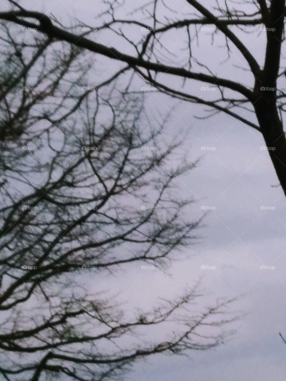 overcast sky at dusk