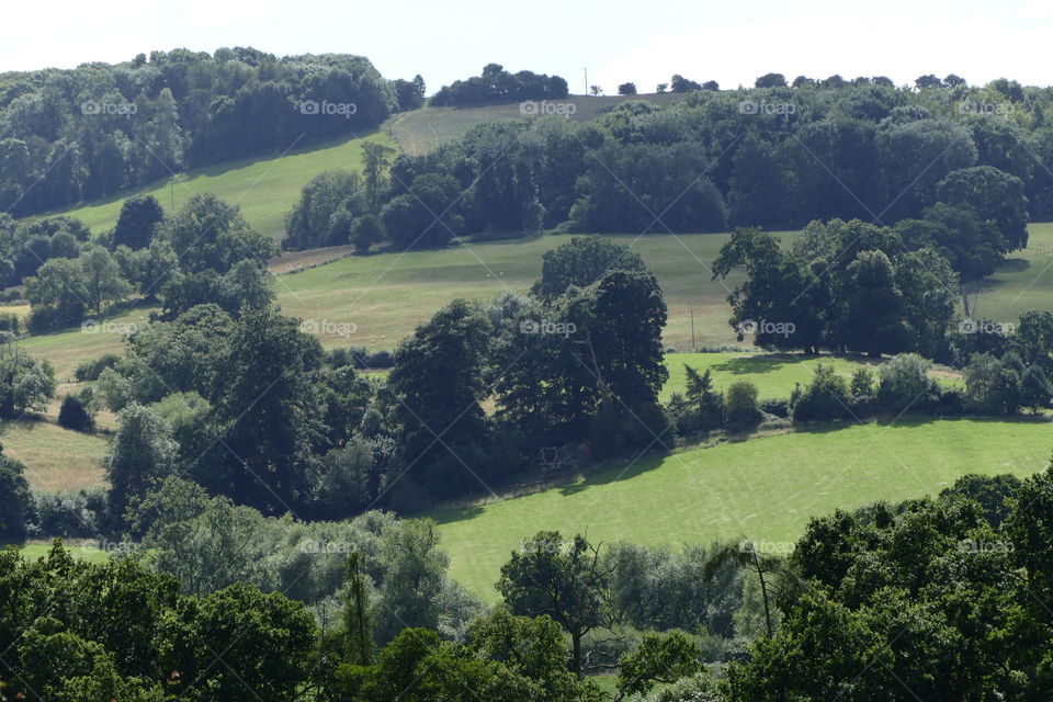 Cotswolds 