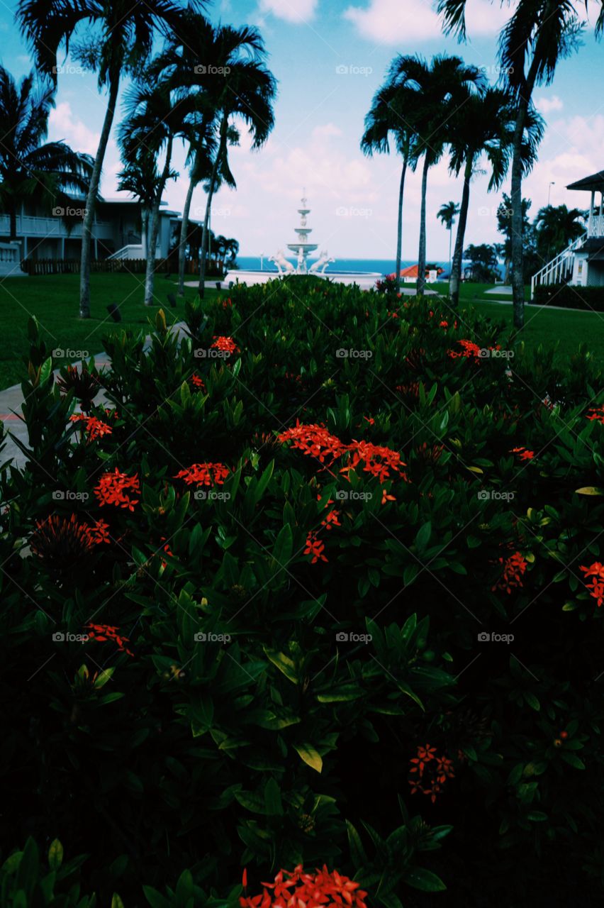 Beaches Ocho Rios