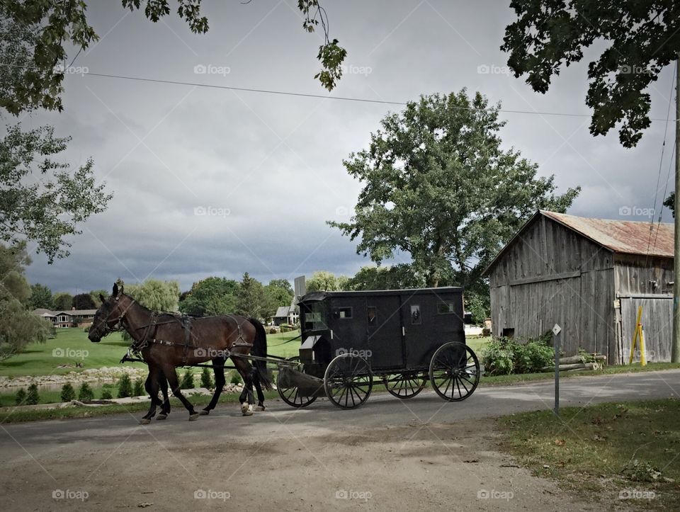 Amish covered wagon. St Jacobs Ontario covered wagon