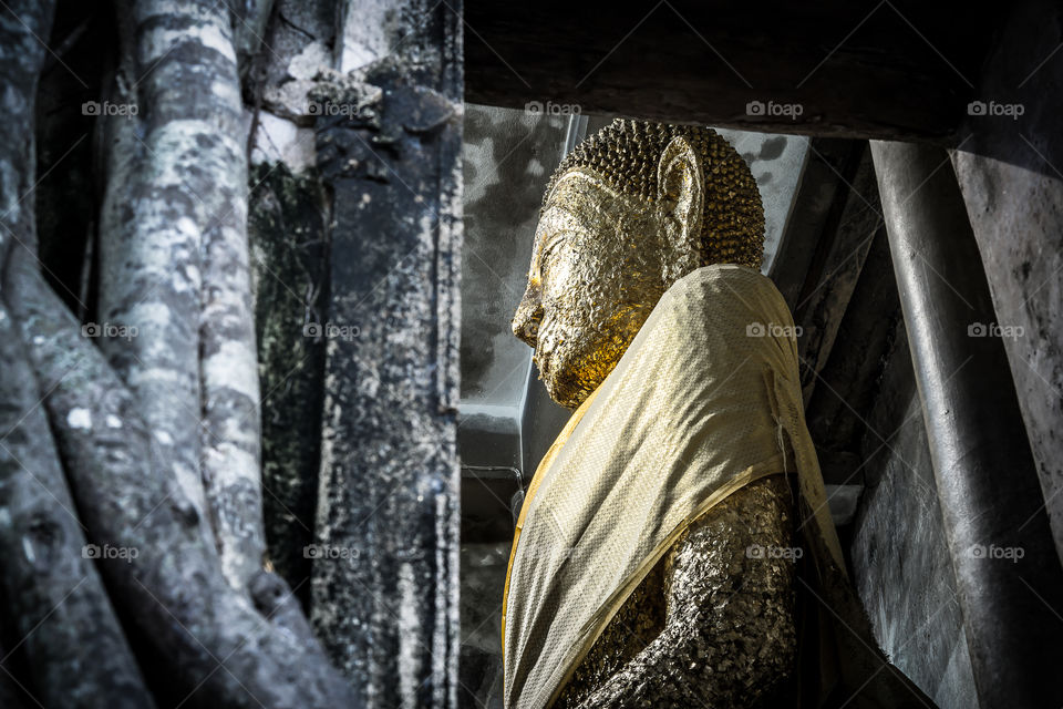 Golden Buddha Statue. Golden buddha statue at Wat Bangkung, Ampawa, Samut Songkram, Bangkok.