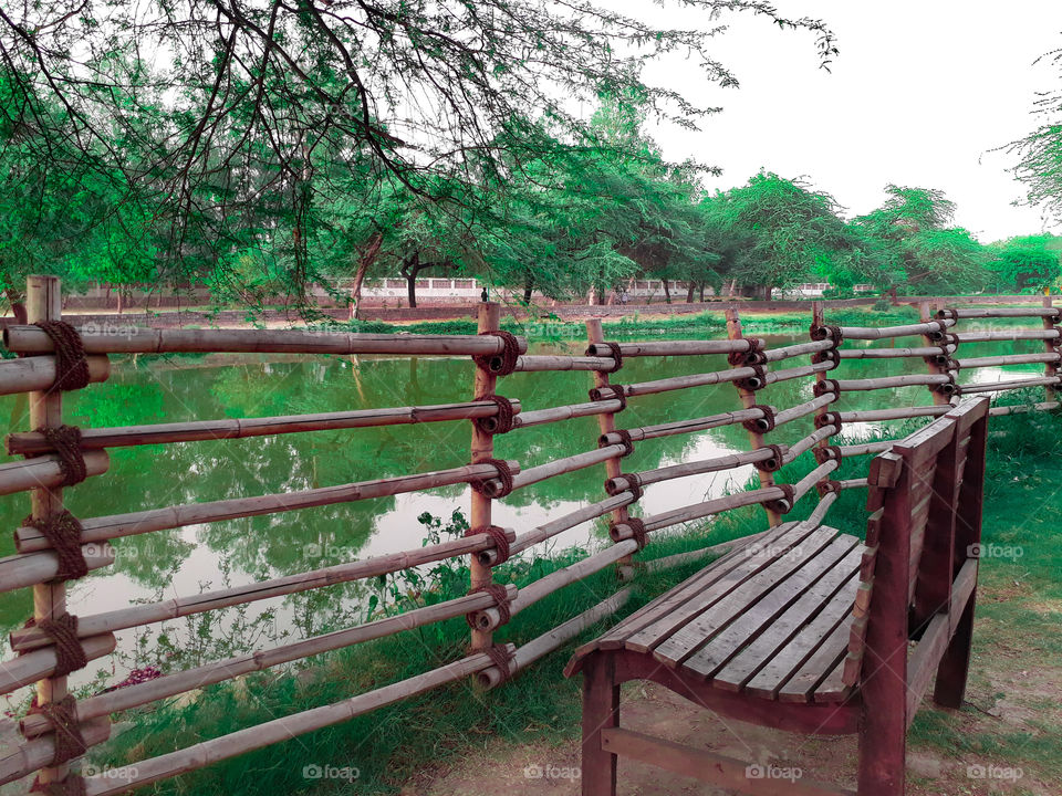 Bench near water in park