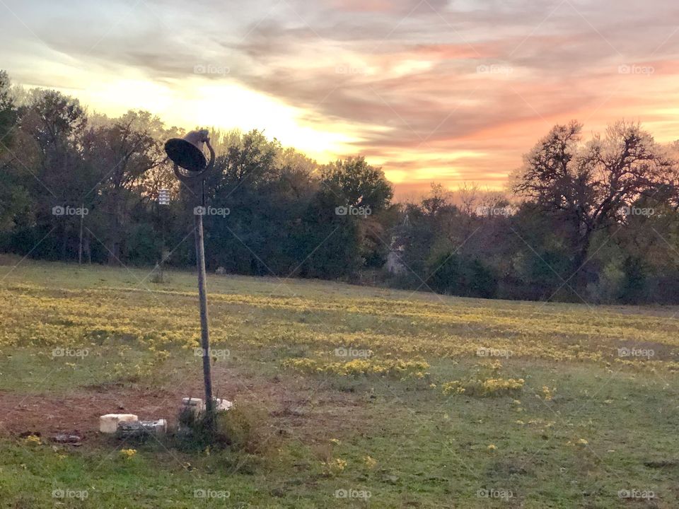 Sunset in pasture  with bell 