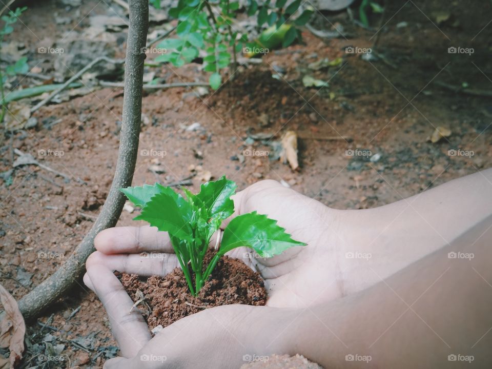 Gardening