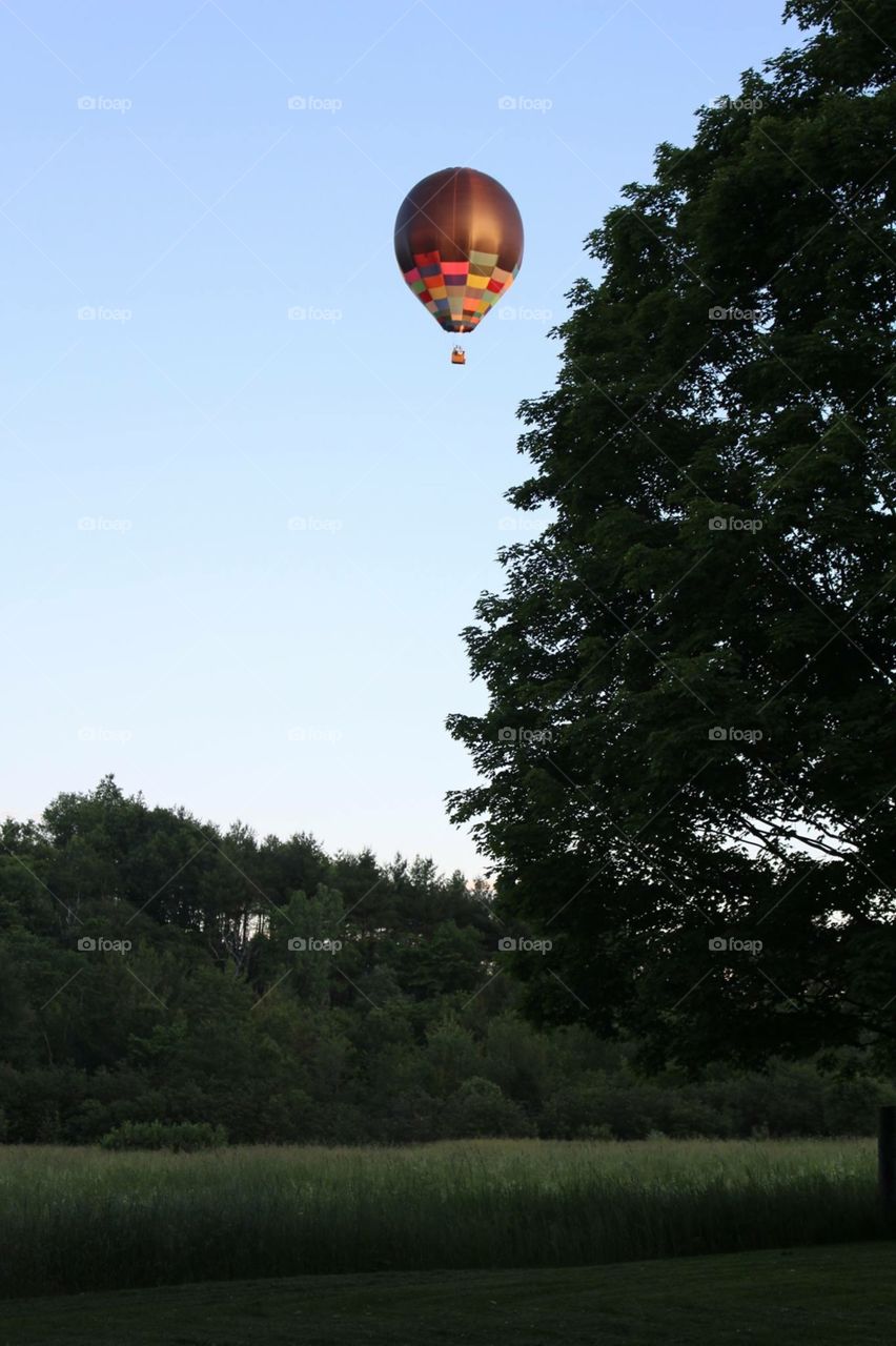 Hot air balloon in the summer