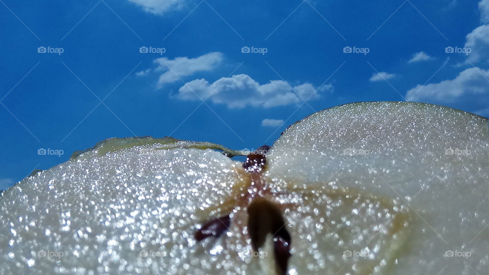 Apple and Sky 2 (16:9)