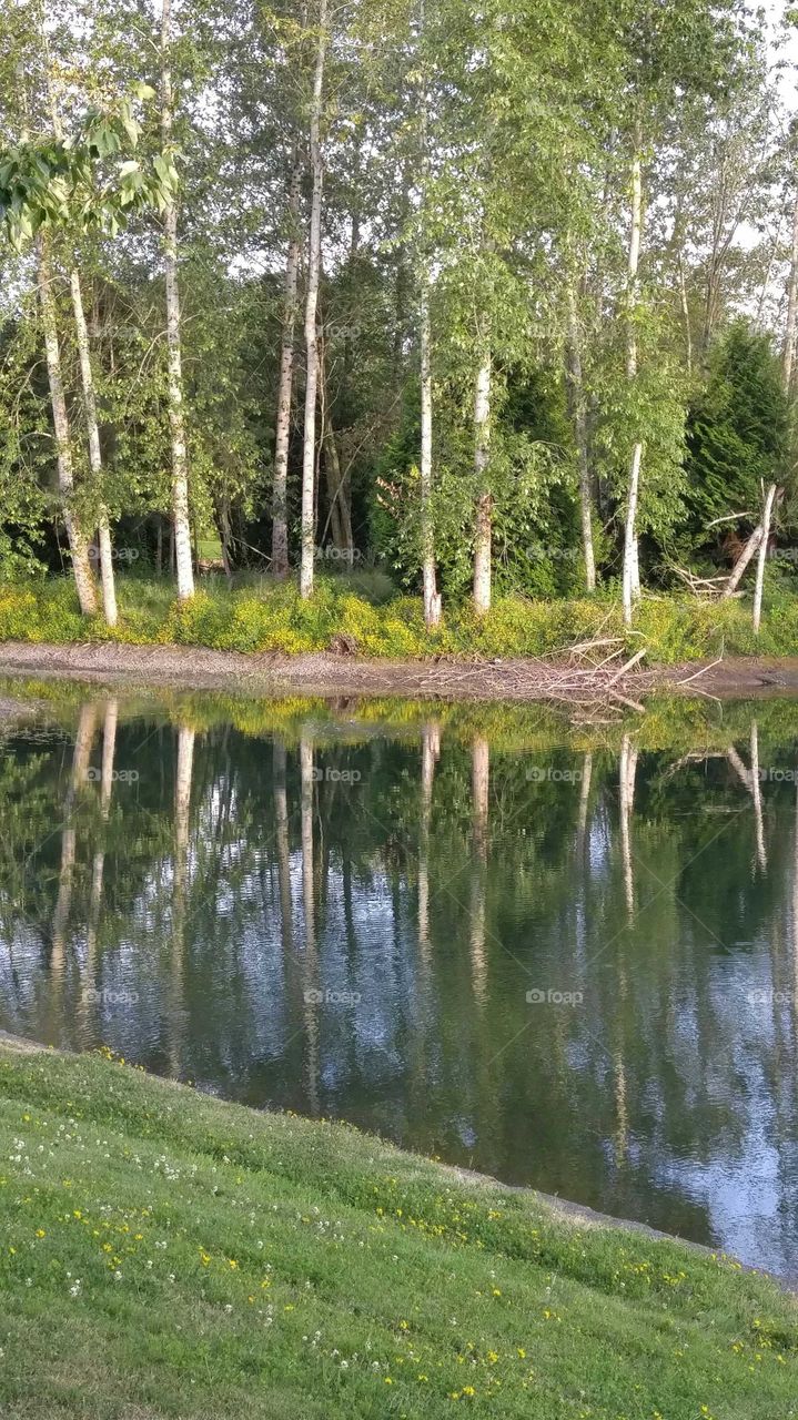 reflection Pond