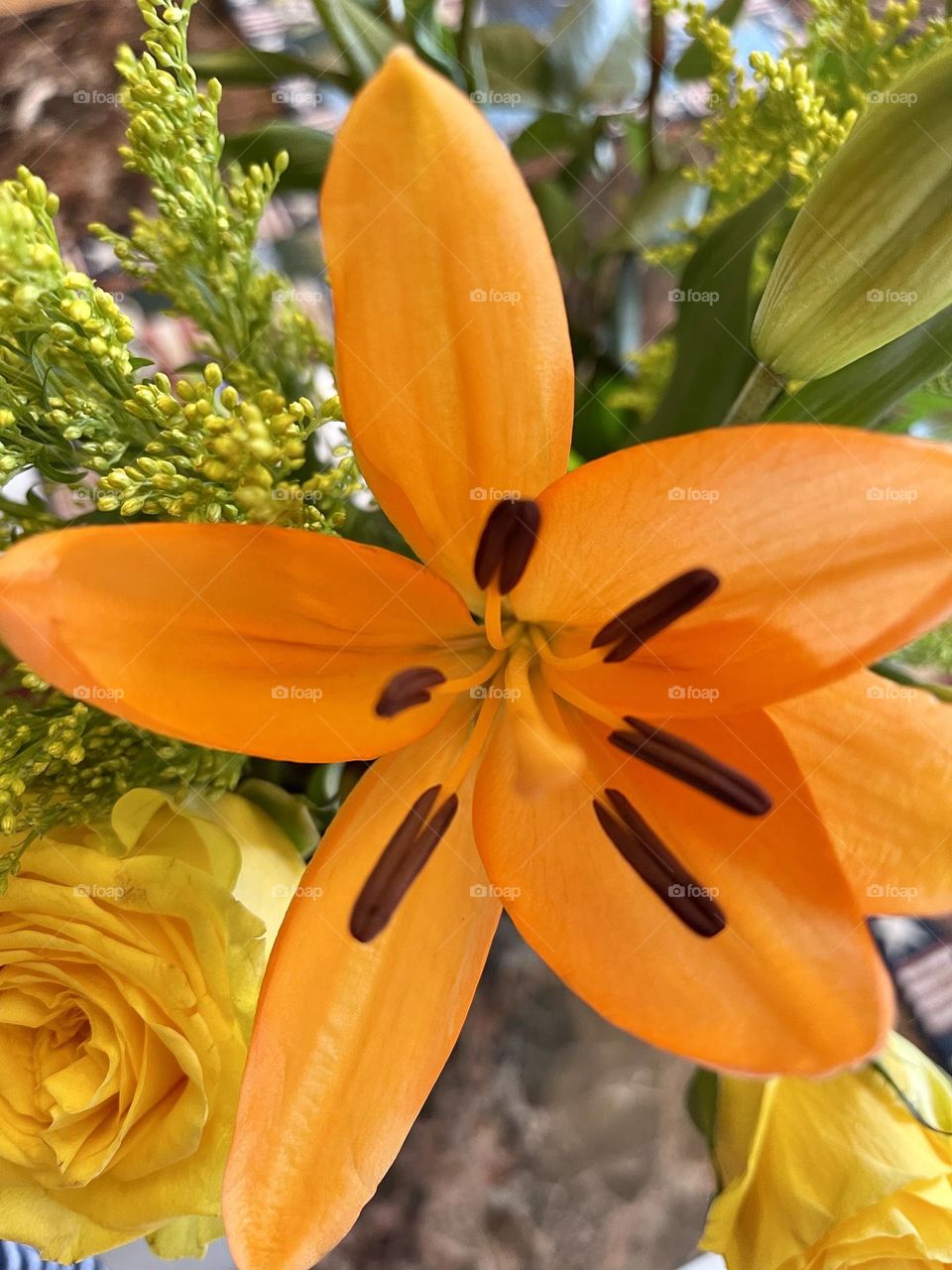 Mothers Day Flowers Beautiful Orange, peach colored Lily.