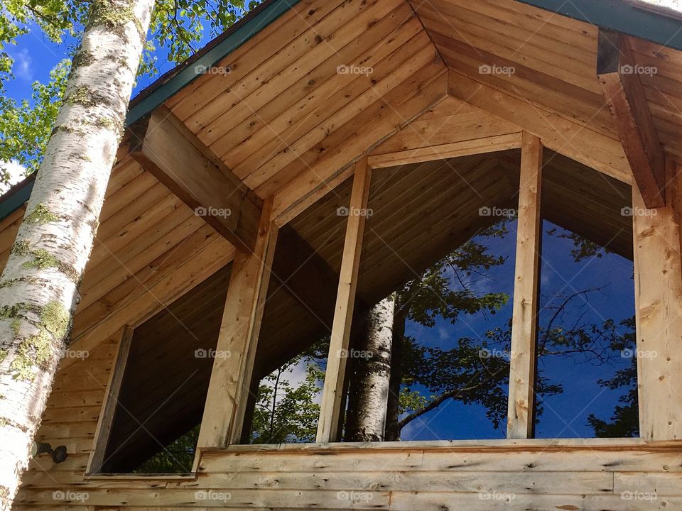 Silver Birch tree reflection in lakeside cabin window 