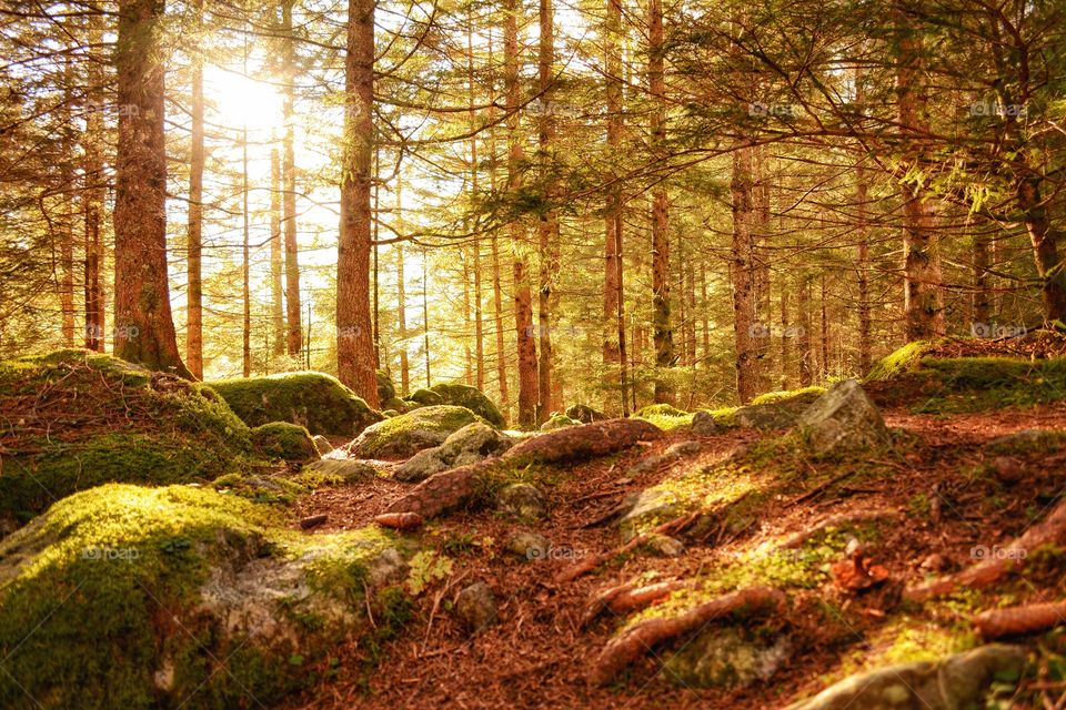 Autumn in Val di Mello