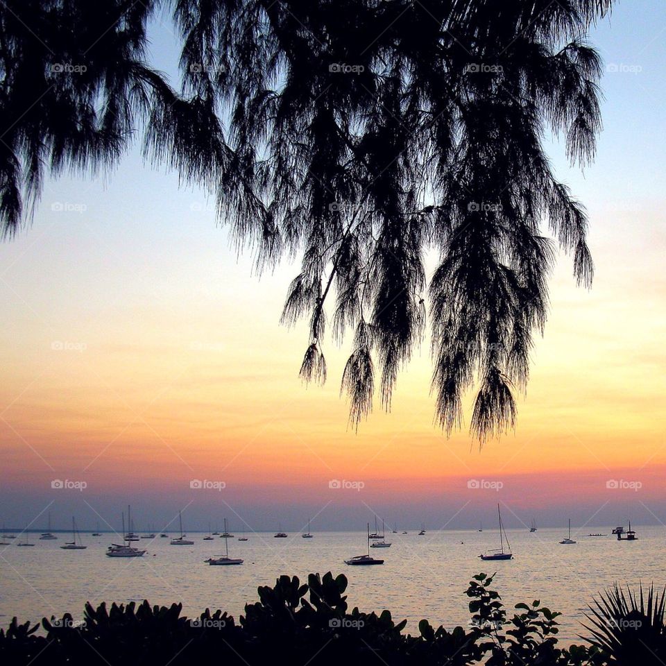 Sailboat sailing during sunset