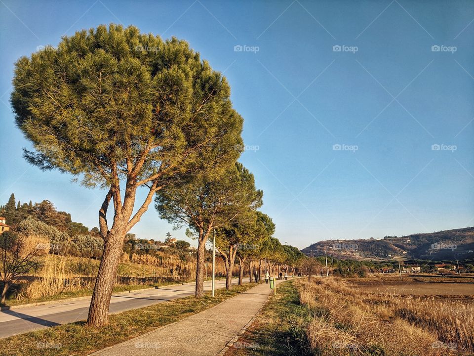 Nature park Strunjan in Slovenija.
