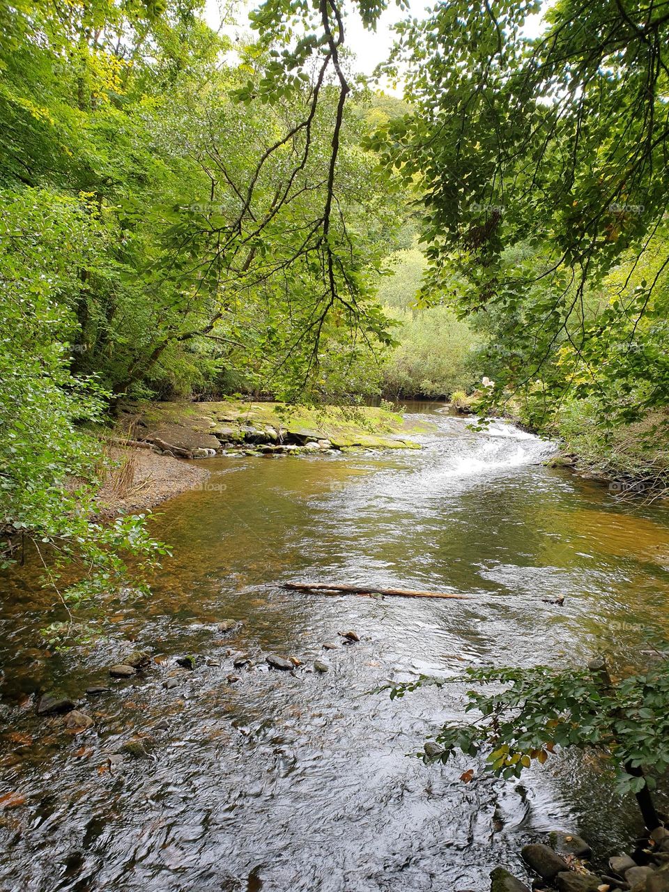 beautiful river scene