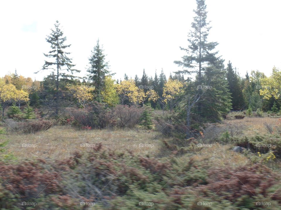 Drummond Island, Michigan 