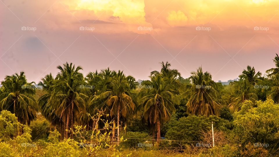 beautiful sunset nature landscape 