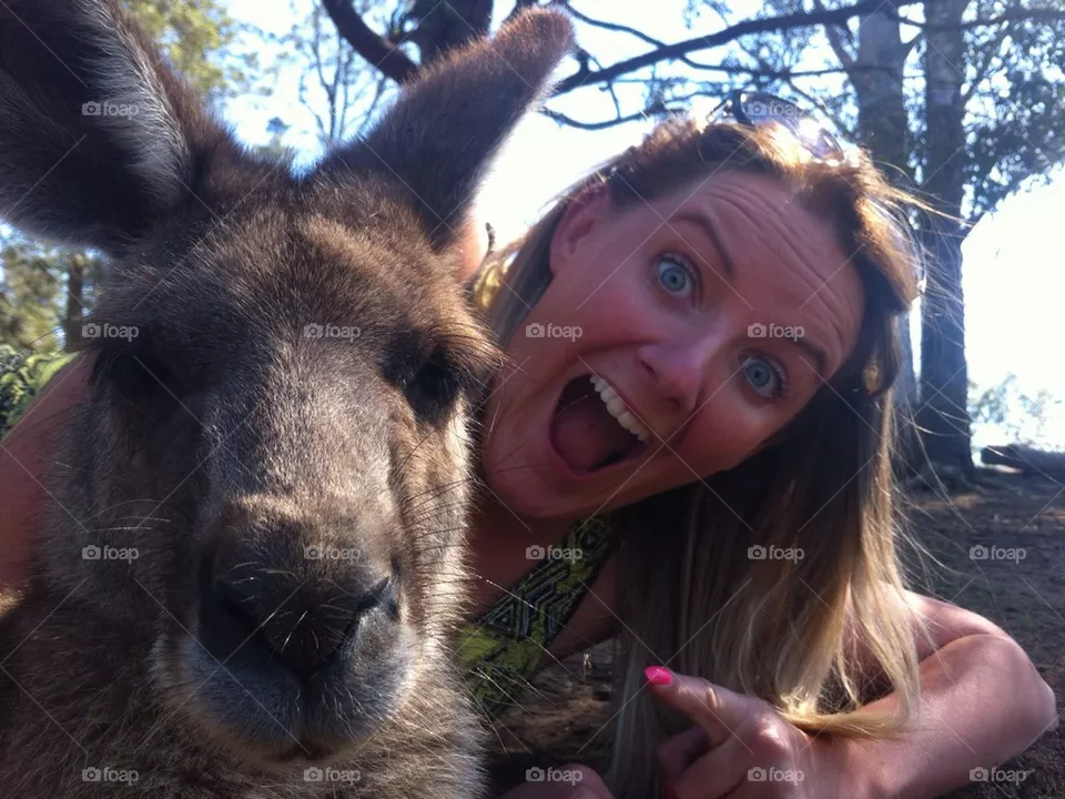 Kangaroo