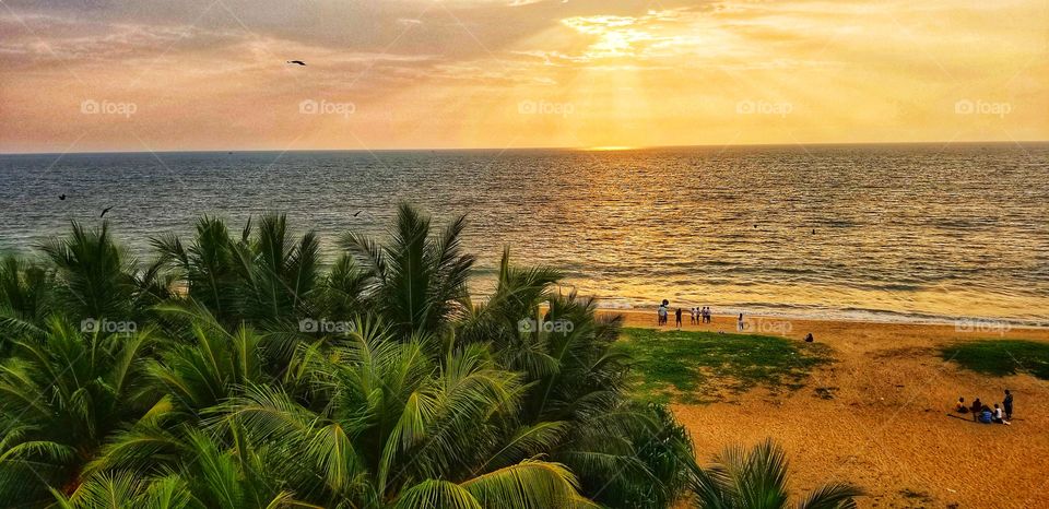 negombo beach