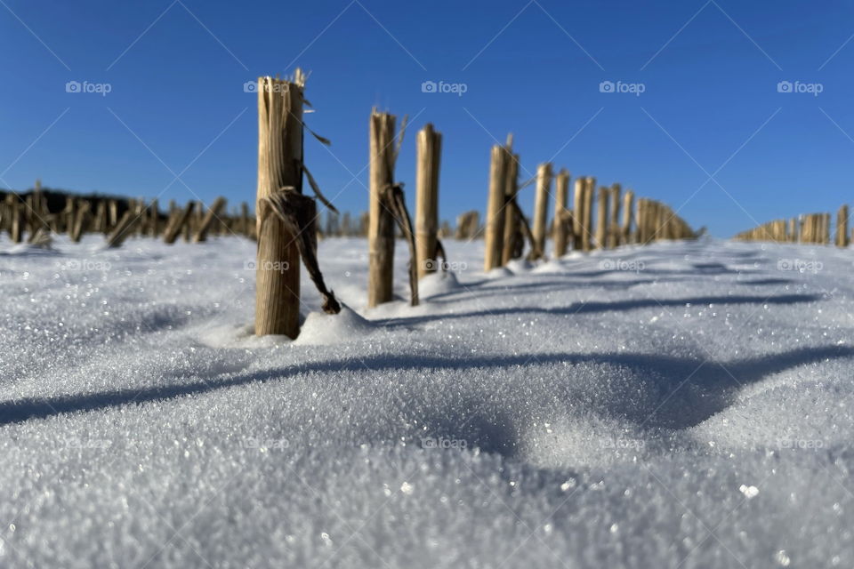 Winter snow shadows light