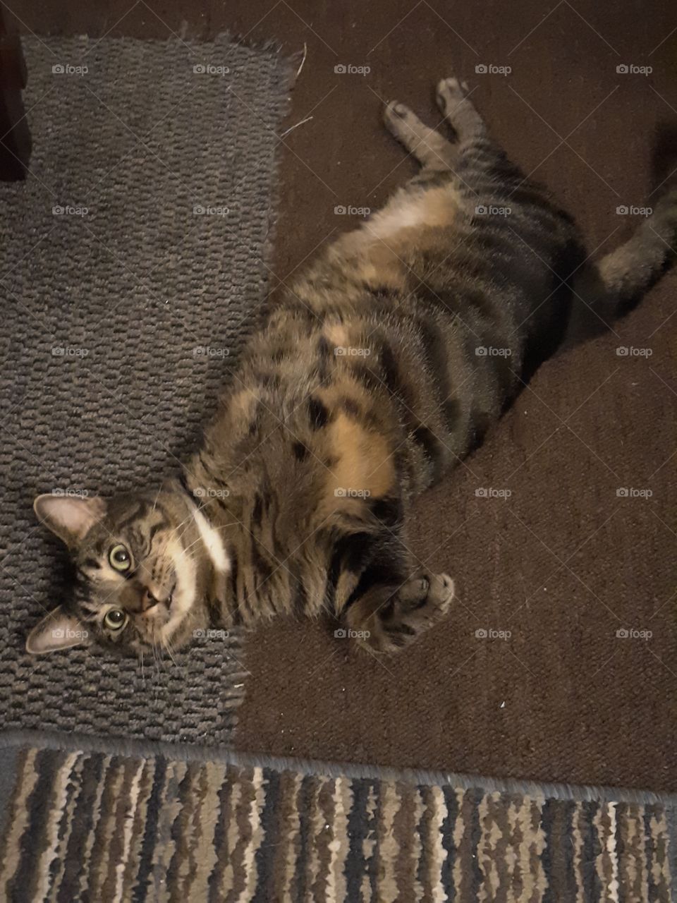 loves sleeping on his back