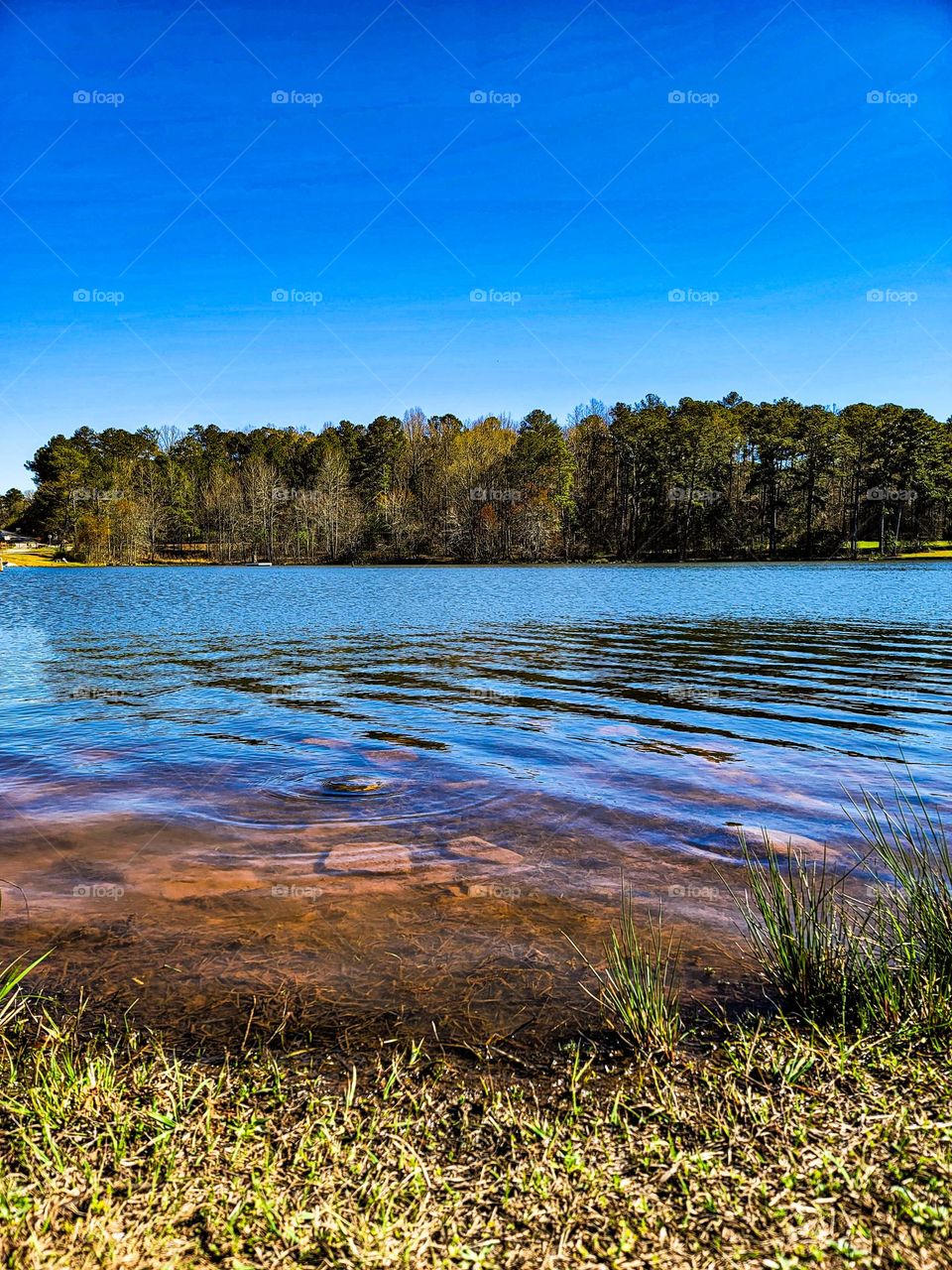 Down by the waterside