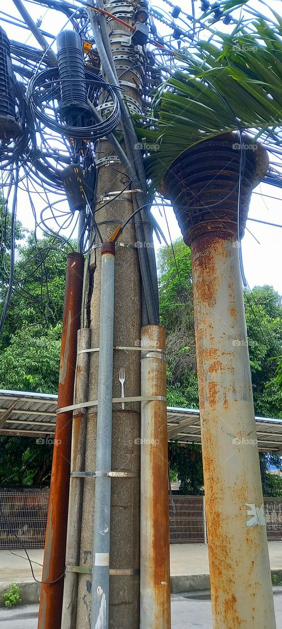 Entre o ferro velho e a natureza