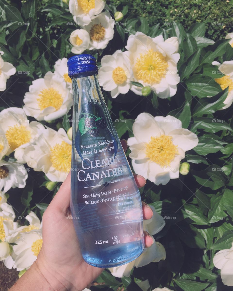 Clearly Canadian is Back!! Bottle with flowers 