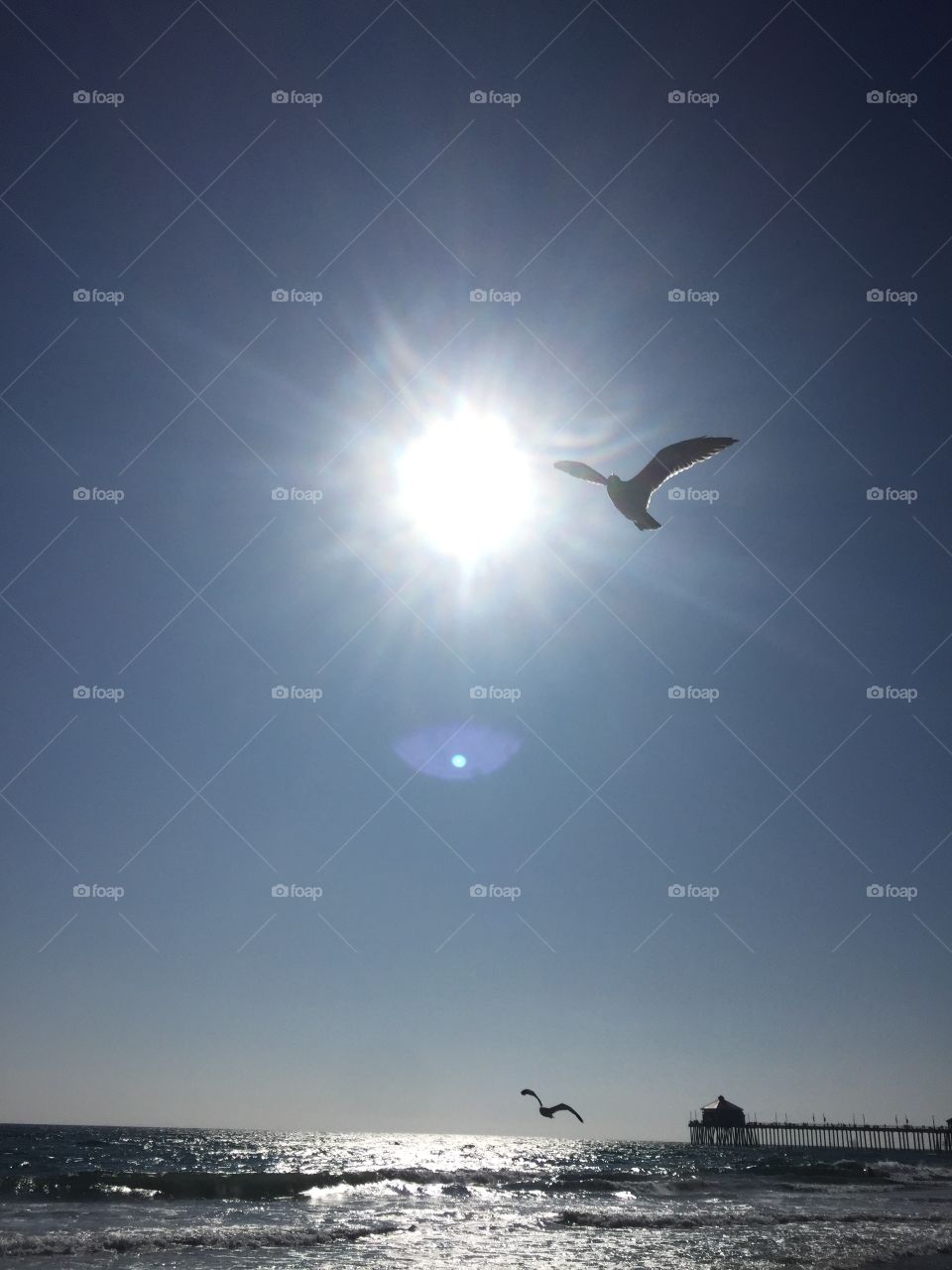 Just above the ocean waves, a seagull soars high in the blue sky, in front of the bright summer sun. 