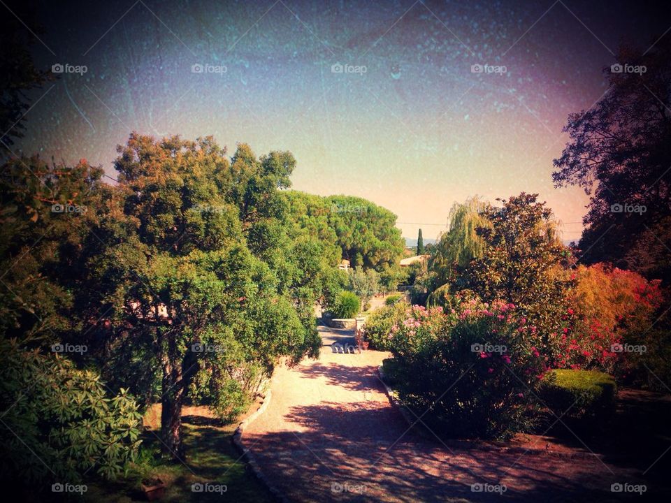 sky garden nature sun by JBMotillon