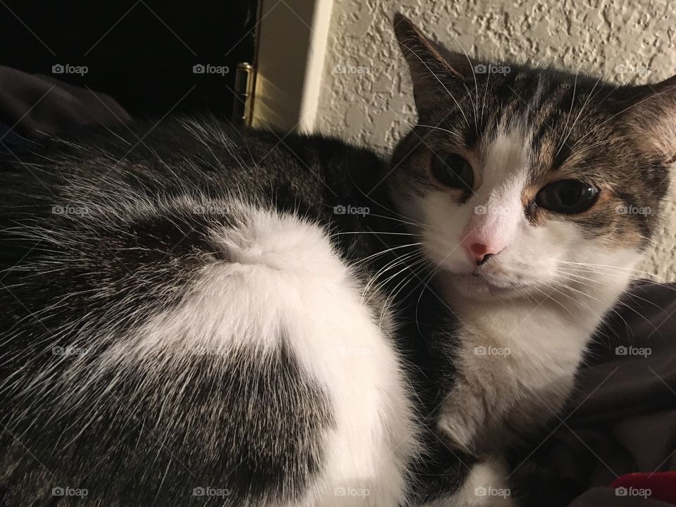 Human stop I haven’t had a chance to do my make up yet # I just woke up like this