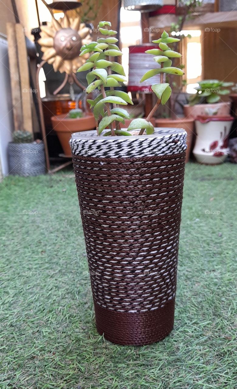 mes pots customisés