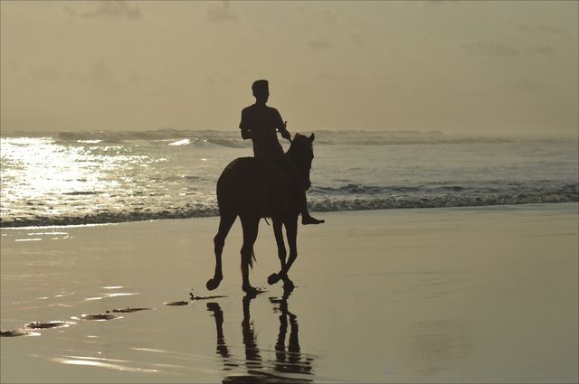 Foap Com Pantai Parangtritis Images Pictures And Stock Photos Foap Com Pantai Parangtritis Images Pictures And Stock Photos