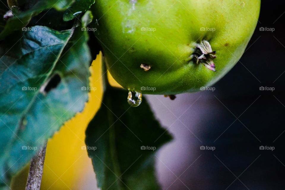 A waterdrop from an apple