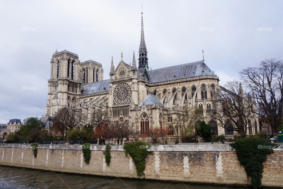 Beautiful Notre-Dame Cathedral from across the River Siene, Paris