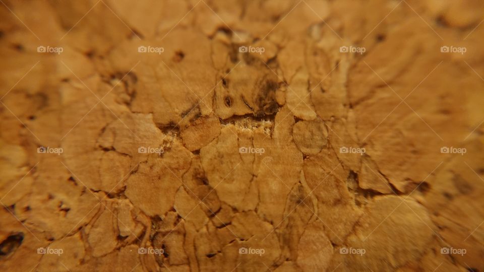 material wood