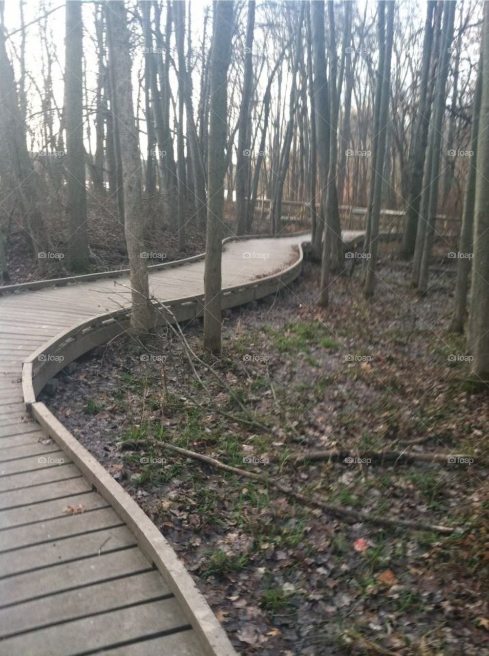 The Path Is Yours. Wooden path at a Nature Center 
