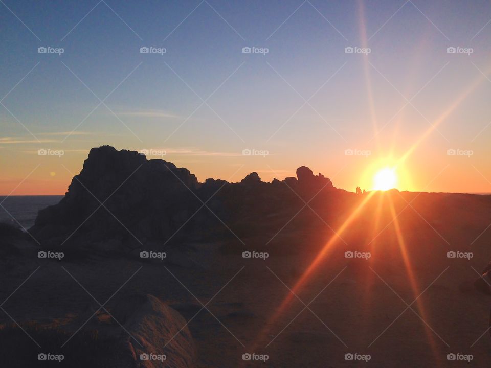 Scenic view of nature